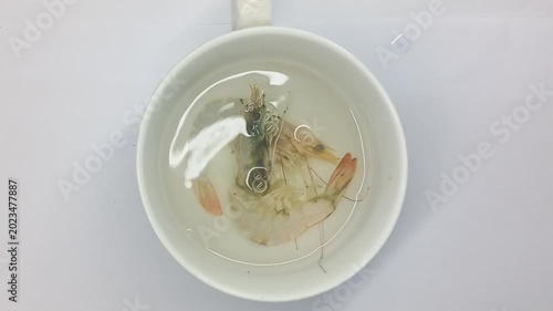 Pour hot water from a glass into a white bowl containing raw shrimp.
