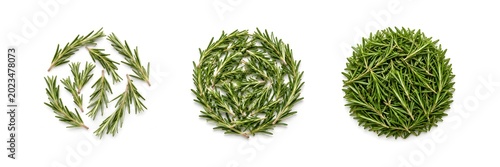 rosemary sprigs in neat small circle on pure white seamless background minimalist product photography soft lighting
