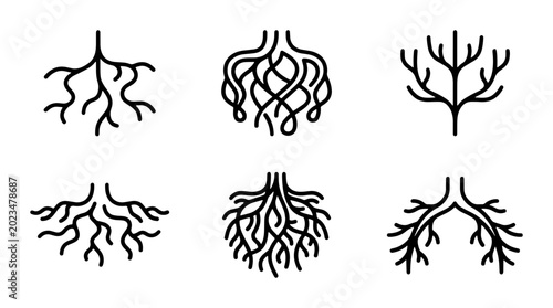 Foto Abstract Root Systems Vector Icons, Organic Growth Patterns, Natural Structure E