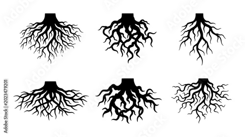 Schilderij op canvas Set of Six Black Silhouette Tree Roots, Organic Growth Patterns, Abstract Botani