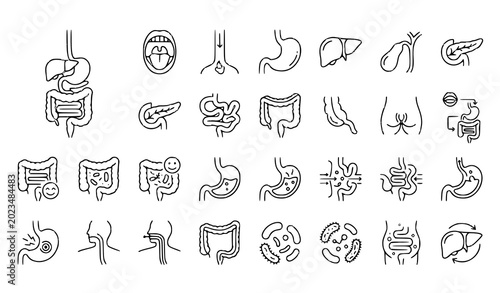Photography Digestive system icons collection editable stroke medical vector set