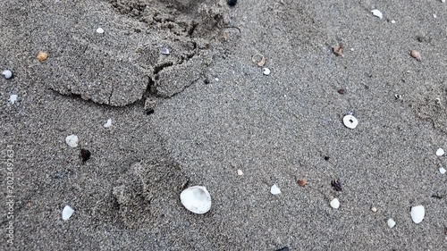 a man holds a seashell in his hands against a background of sand