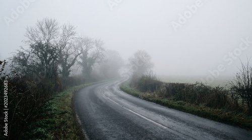 Winding Country Road Through Foggy Autumn Landscape