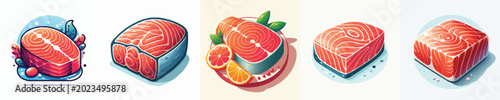 vector of salmon meat