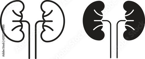Kidney icon for social media, app, and web design. Vector illustration.