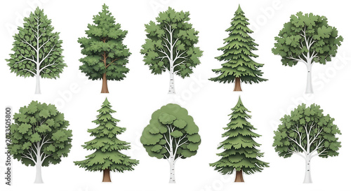 Set of ten isolated tree featuring various deciduous and coniferous species with green foliage and white trunks on a black background