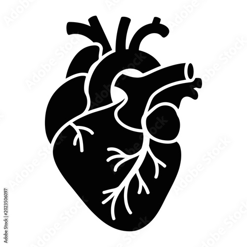 Human heart anatomy with vascular system flat design vector