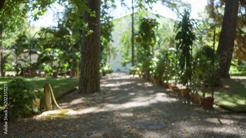Εκτύπωση καμβά Sunlit garden path with potted plants and towering trees softly blurred bokeh garden; background backdrop copyspace calm