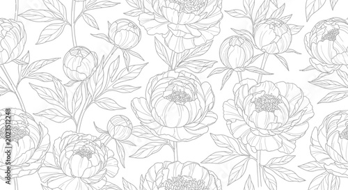 Seamless Pattern of Hand Drawn Peony Flowers Line Art
