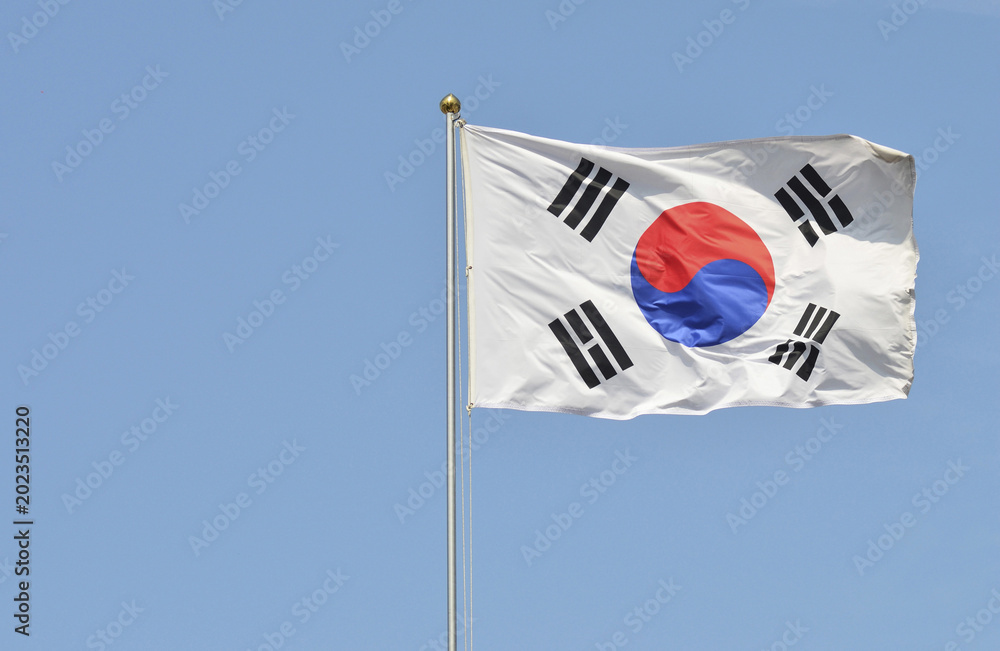 Naklejka premium 태극기