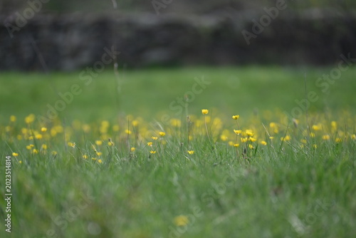 Fotografie Villardeciervos