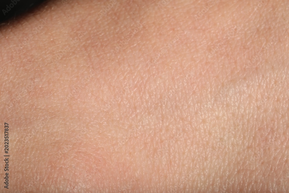 Fototapeta premium Texture of normal skin as background, closeup