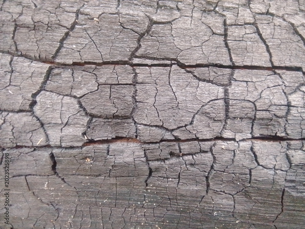 Fototapeta premium Cracked Burnt Wood Texture Background
