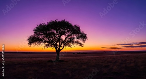 Lone tree silhouette against vibrant purple and orange sunset sky