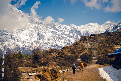 Front view of a group of trekkers walking on a snowy mountain during the Mardi Himal Trek in Nepal. There is dry grassland with yellow around with the Himalayas in the background on a foggy day.