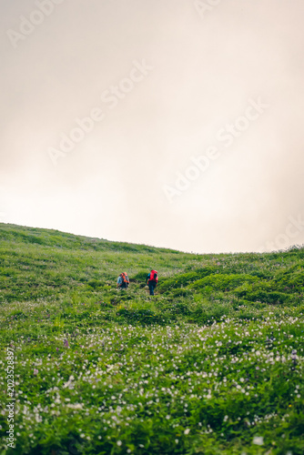 A cloudy day. Grassy hills on a hiking trail to Bhrigu Lake Trek, Manali, India. Hikers are walking. Many wildflowers, and morning mist blankets the mountains with copy space on top.