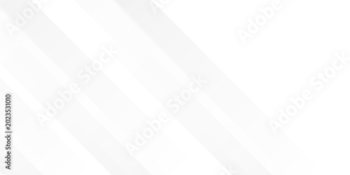 Фотография Abstract light gray lines polygon modern tech minimal concept with white backgro