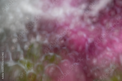 Pink Flower Petals Frozen in Ice Creating Irregular Texture