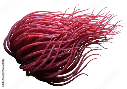 Vibrant deep red curly ribbons texture close-up for design and craft backgrounds