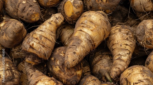 Fresh taro roots showcase intricate textures and earthy tones in a charming natural setting