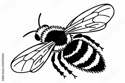 Detailed illustration of a bee in flight with visible wings and body stripes