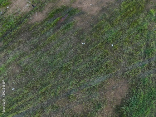Photos Aerial top-down view of patchy green vegetation and brown earth terrain