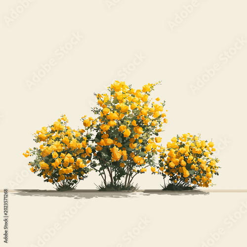A bright yellow flowering bush stands isolated against a clear background for nature photography.