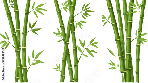Schilderij op canvas Illustration of Bamboo Stalks with Leaves for Nature, Garden, and Eco-friendly D