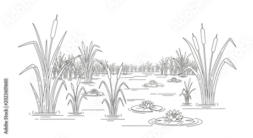 Foto Detailed illustration of aquatic plants.