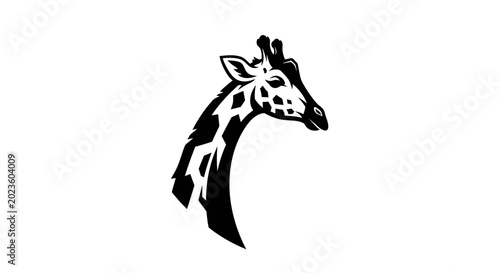 Black and white giraffe head profile.