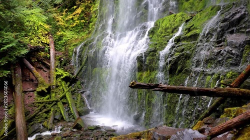 The lush forest and moss at Proxy Falls in Oregon, USA.