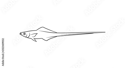 Tableau sur toile Detailed drawing of a stingray fish.