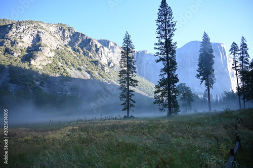 Photos Morning mist over Yosemite Valley meadow with El Capitan and pine trees