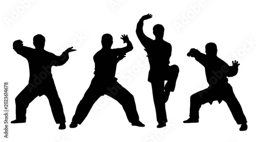 Photos Black silhouettes of people practicing martial arts isolated on transparent back