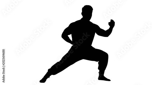 Foto Black silhouette of a man in a kung fu stance isolated on transparent background