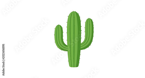 Fotografie green, cactus, plant, succulent, desert, nature, botanical, prickly, tropical, a
