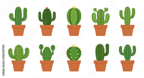 Obraz na płótnie succulent, cactus, plant, desert, green, nature, botanical, prickly, tropical, a