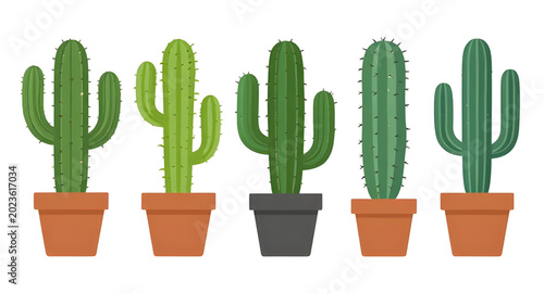 Foto cactus, succulent, plant, desert, green, nature, botanical, prickly, tropical, a