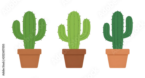 Konstfotografi cactus, succulent, plant, desert, green, nature, botanical, prickly, tropical, a