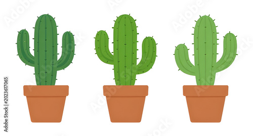 Fotografía plant, cactus, succulent, desert, green, nature, botanical, prickly, tropical, a