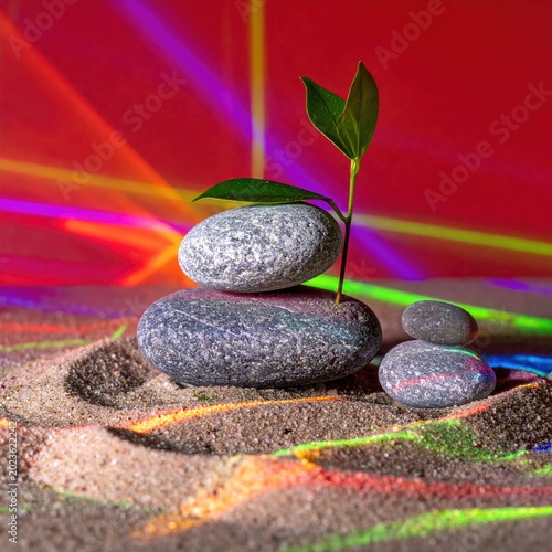 Stacked stones, sprout, sand, with vibrant light streaks