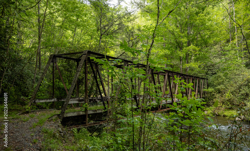 Trestle Bridge Over Hazel Creek in the Smokies in Summer