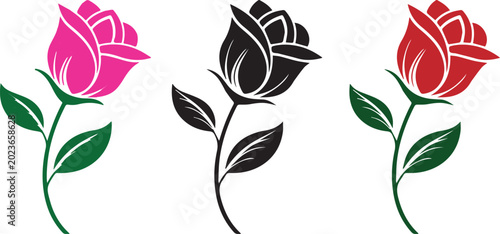 Pink and Red Rose Flower Vector Illustration Isolated .