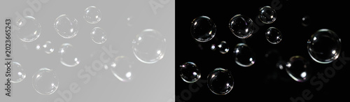 Canvas Print Transparent soap bubbles floating with glossy reflections and realistic sparklin