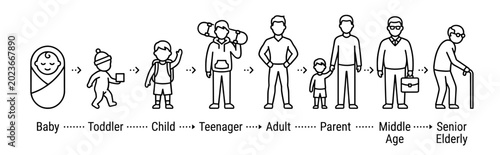 Professional vector icon set illustrating human growth and aging stages from infancy to old age. Modern family and parenting concept designed for International Day of Parents campaigns