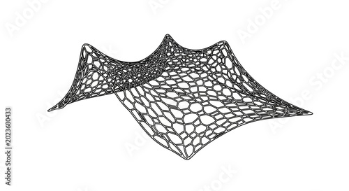 Canvastavla Abstract parametric mesh structure with hexagonal pattern on white background
