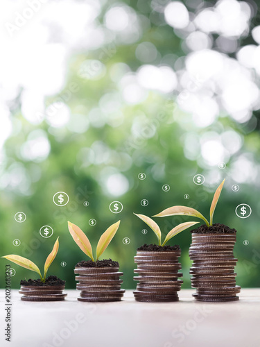 Plants growing up on stack of coins and dollar coin icons. The concept of saving money, Financial, Investment and Business growing.
