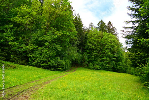 Bild auf Leinwand landwirtschaftliche Wege in der Buckligen Welt