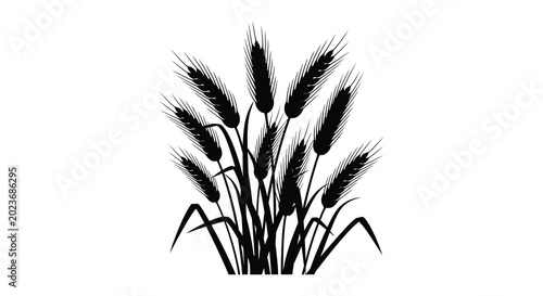Photos Wheat stalks silhouette against a white background