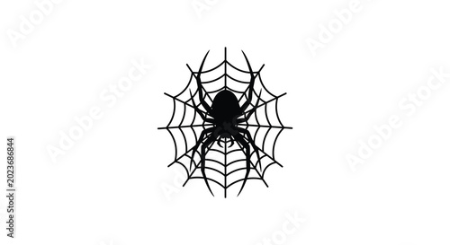 Photos Spider in web silhouette on a white background